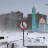 Winterland: The Colors of Snow