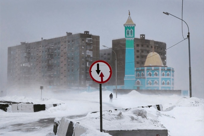 Winterland: The Colors of Snow