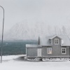 Winterland: The Colors of Snow